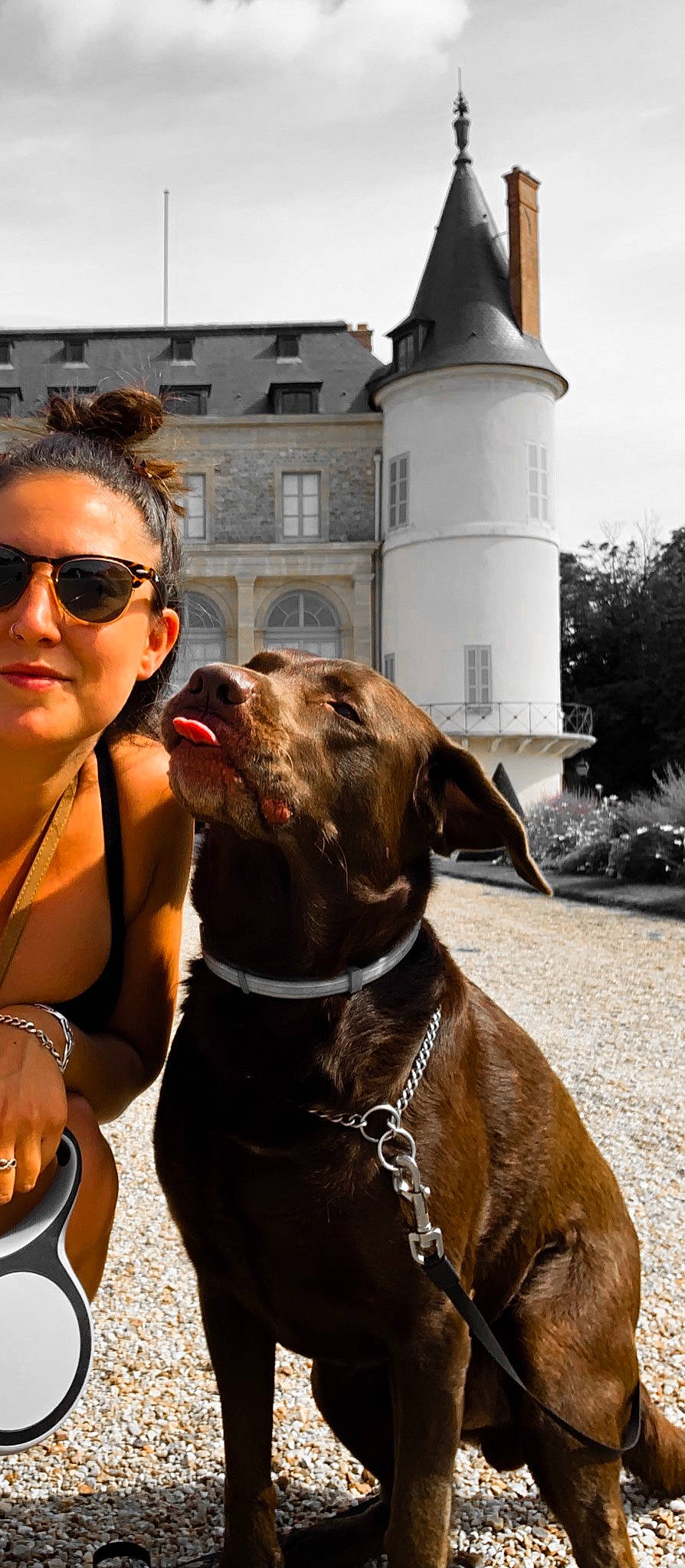 Boris a rejoint le concours — aidez-le/la à gagner de superbes lots ! american_pit_bull_terrier, canidae, carnivore, collar, dog, dog_breed, dog_collar, fawn, leash, snout, sporting_group