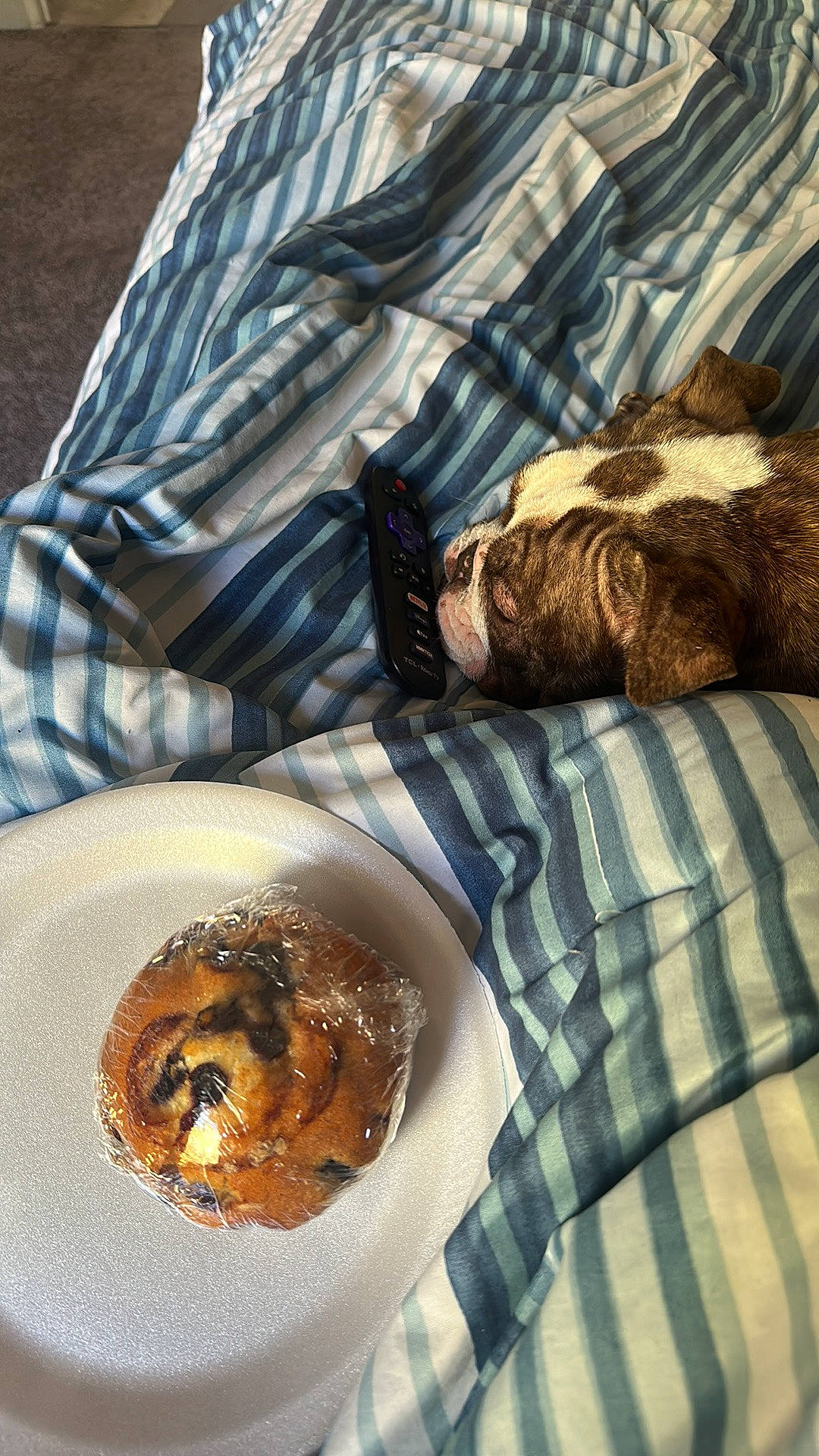 Mama joined the competition — help win amazing prizes! baked_goods, baking, circle, coffee, comfort, cuisine, dessert, dish, door, eyewear, finger_food, food, gluten, ingredient, linens, pattern, plaid, recipe, tableware, tartan