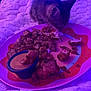 kitten, cat, food, plate, dipping_sauce, potatoes, fried_food, bed, blanket, purple_lighting, indoor, animal, cute, meal, snack, pet, tableware, closeup, cozy, curious