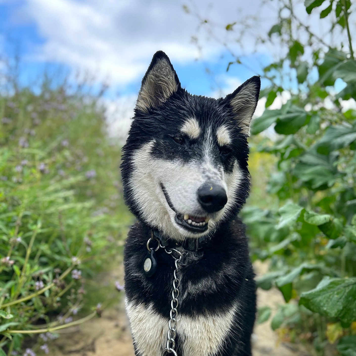 Winston