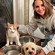 Penny is registered to the contest to win money with this photo: woman, cat, dog, pet, feeding_bowls, wooden_furniture, indoor, smile, casual_clothing, hoodie, orange_and_white_cat, fluffy_dog, licking, happy, companion, domestic_animals, hand_on_dog, face, eyes, fur