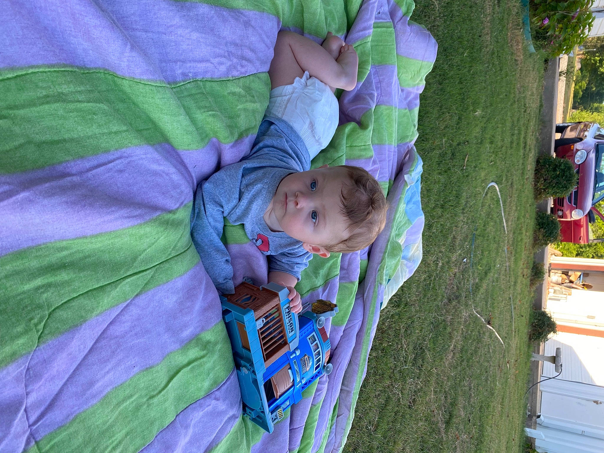 Ashton is registered to the contest to win money with this photo: baby, baby_products, child, electric_blue, event, fun, grass, green, leaf, leisure, magenta, person, plant, play, product, purple, recreation, toddler, tree, vacation