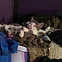 cat, sleeping, clothes, laundry_basket, indoor, relaxed, resting, pile, fabric, soft_lighting, purple_wall, home, pet, feline, cozy, quiet, comfort, domestic, peaceful, fur