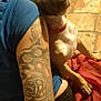 dog, tattoo, arm, person, blue_shirt, brick_wall, indoor, red_fabric, pet, animal, casual, leaning, closeup, skin, collar, relaxed, companion, seated, friendly, domestic