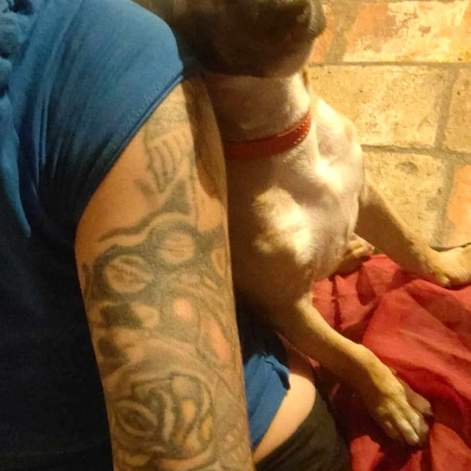 Appia participe au concours pour gagner de l'argent avec cette photo : animal, arm, blue_shirt, brick_wall, casual, closeup, collar, companion, dog, domestic, friendly, indoor, leaning, person, pet, red_fabric, relaxed, seated, skin, tattoo