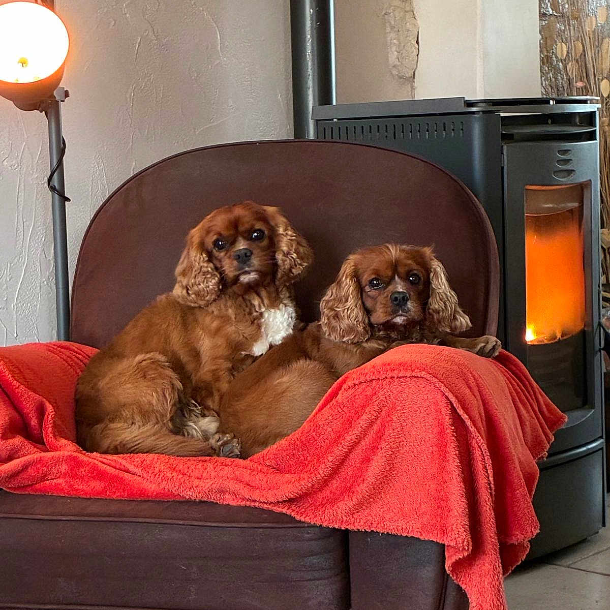 Opi Et Toby