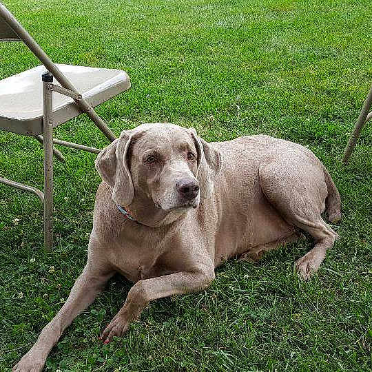 Chloe