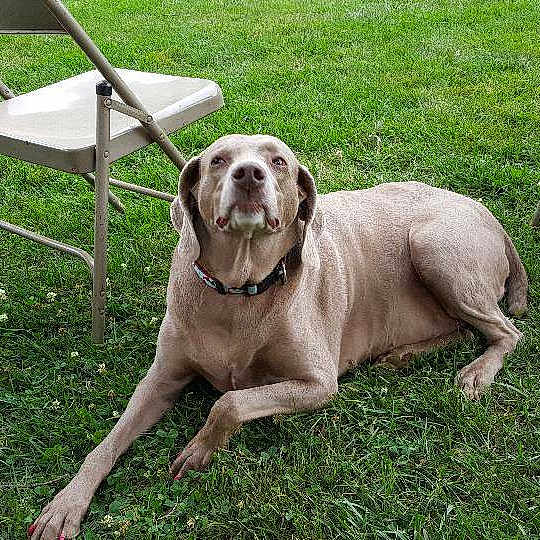 Chloe
