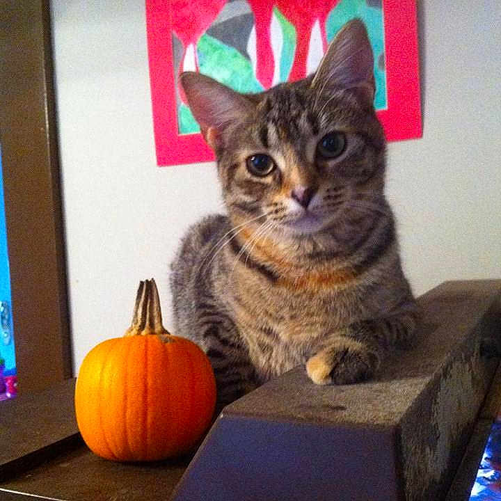 Molly