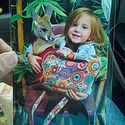 Kyra joined the competition — help win amazing prizes! child, kangaroo, animal, plant, bag, patterned_bag, colorful, smile, hand, photo, printed_photo, chair, indoor, person, holding, greenery, young_child, cute, nature, furry_animal