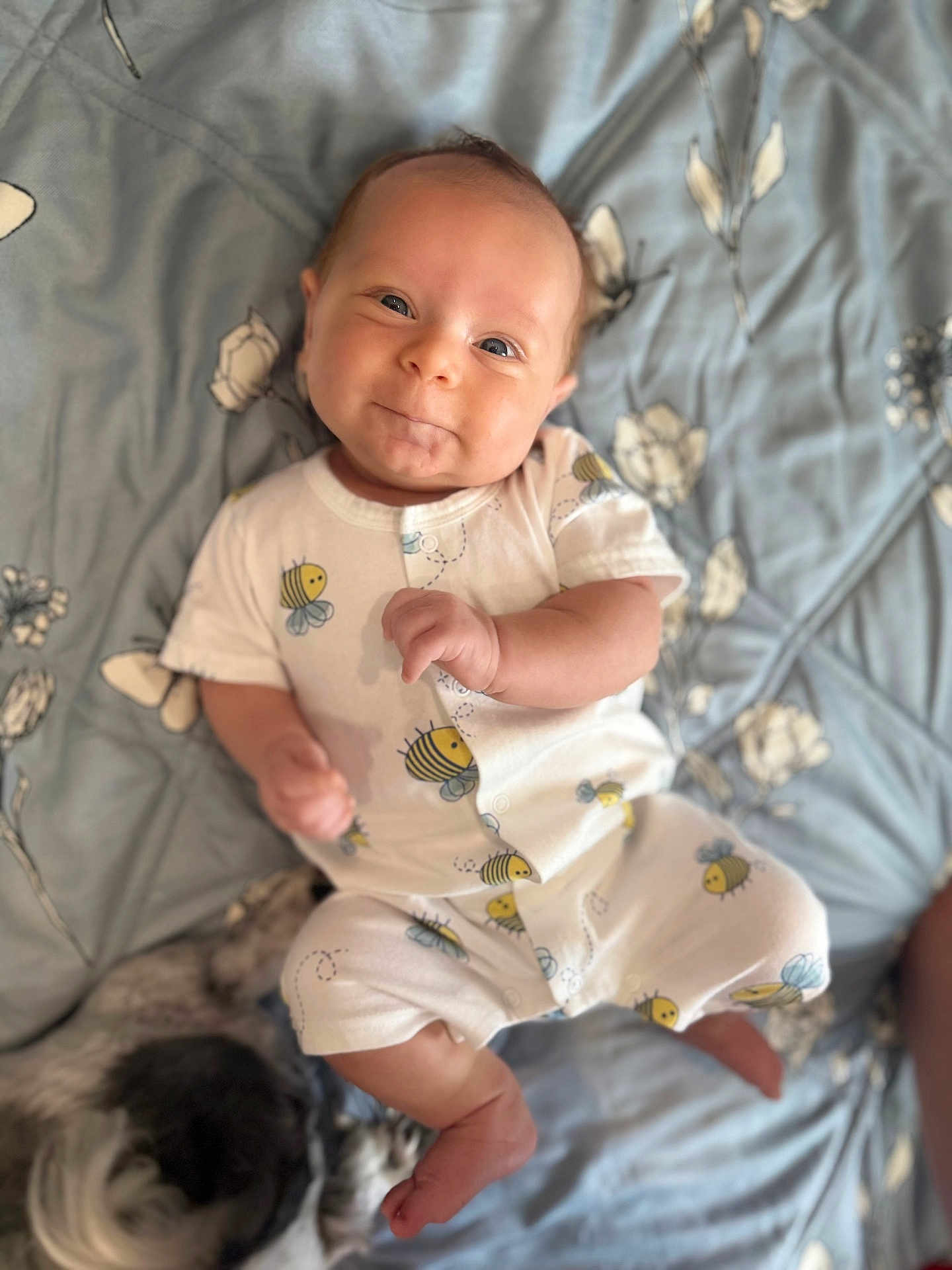 Thaddeus is registered to the contest to win money with this photo: baby, infant, smile, onesie, bee_pattern, blue_blanket, floral_pattern, dog, pet, lying_down, cute, happy, indoor, child, face, feet, hand, animal, sleeping, cozy