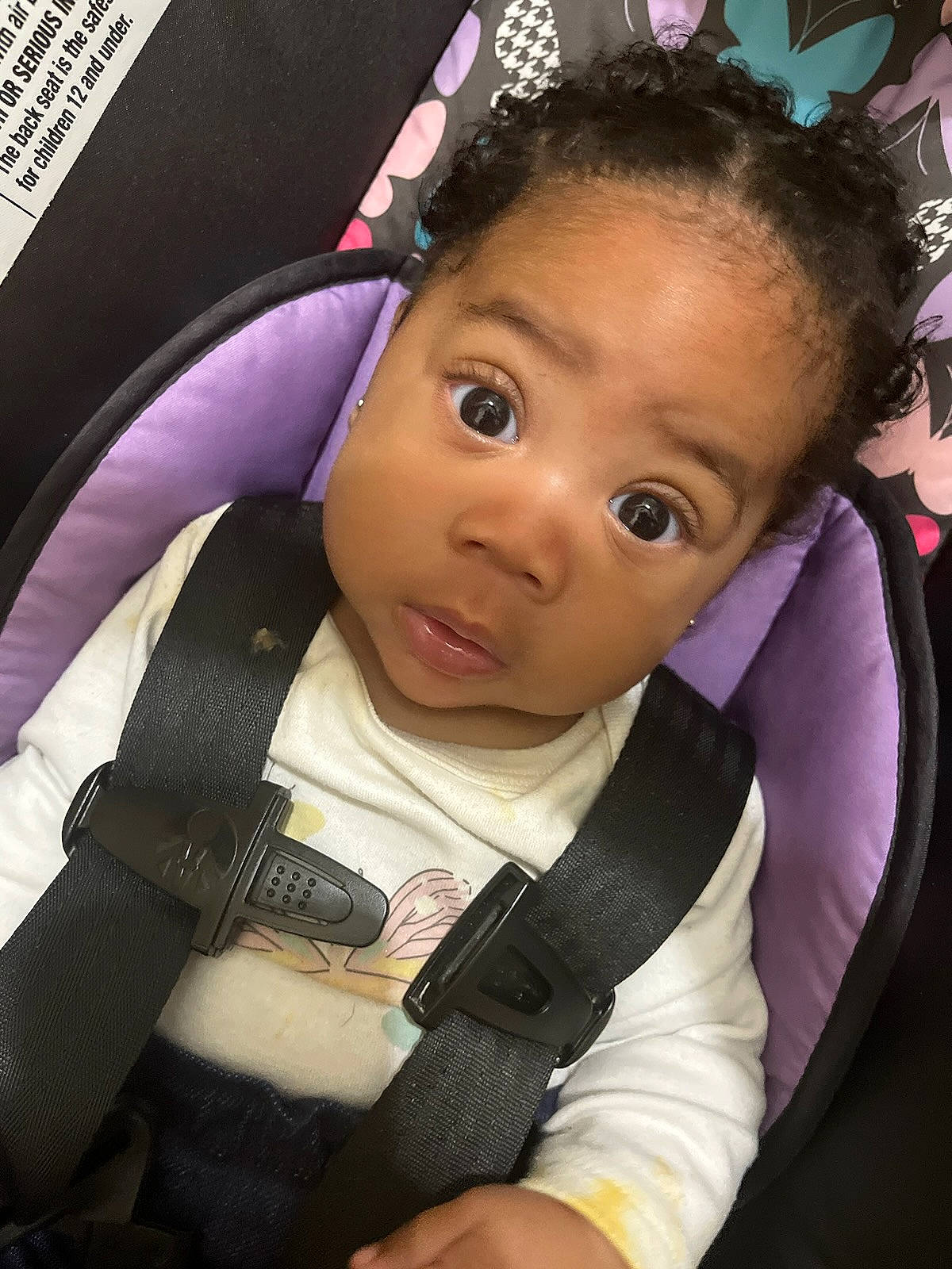 Journi is registered to the contest to win money with this photo: baby, baby_carriage, baby_products, baby_toddler_clothing, black_hair, cheek, child, cool, eyelash, facial_expression, fun, hairstyle, happy, iris, magenta, outerwear, person, pink, purple, skin