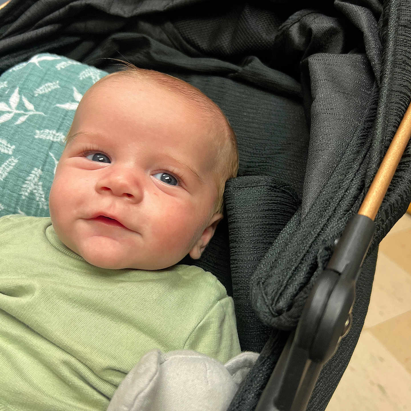 Weston joined the competition — help win amazing prizes! baby, infant, child, stroller, blue_eyes, green_clothing, plush_toy, elephant_toy, face, portrait, cute, indoors, fabric, blanket, comfort, soft_toy, person, baby_clothes, closeup, resting