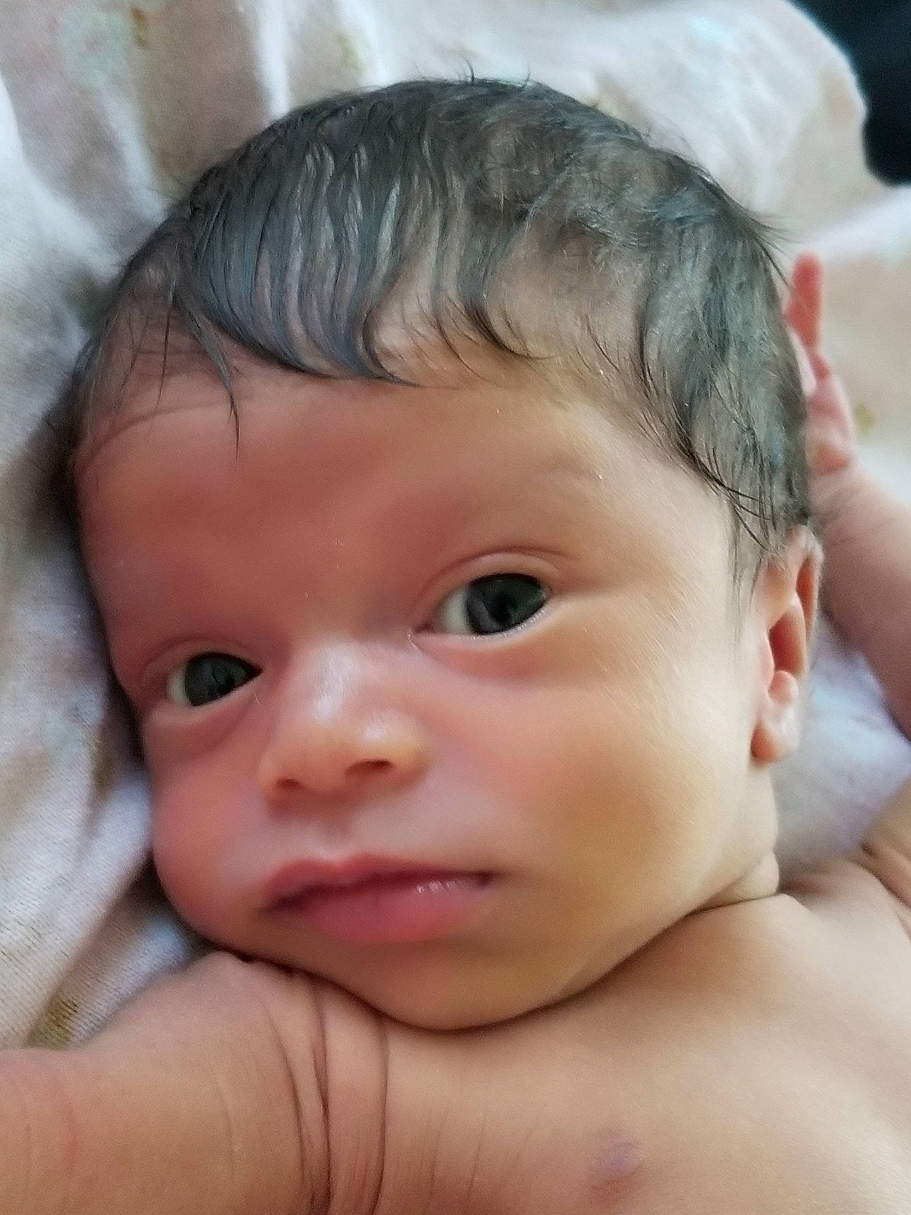 Alani joined the competition — help win amazing prizes! baby, cheek, child, chin, close_up, eye, eyebrow, eyelash, face, forehead, iris, lip, mouth, muscle, neck, nose, organ, person, photography, skin