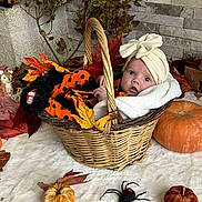 Lou participe au concours pour gagner de l'argent avec cette photo : baby, basket, pumpkin, autumn_leaves, turban, orange_clothing, black_polka_dots, wicker, decor, spider_toy, fall, cute, infant, white_blanket, seasonal, holiday, portrait, indoor, child, costume