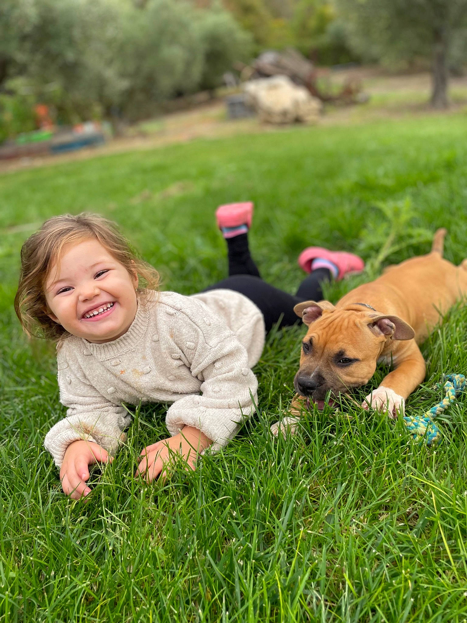 Kynai participe au concours pour gagner de l'argent avec cette photo : baby, carnivore, companion_dog, dog, dog_breed, fawn, grass, grassland, happy, joy, lawn, leisure, meadow, people_in_nature, person, plant, recreation, smile, snout, sunglasses