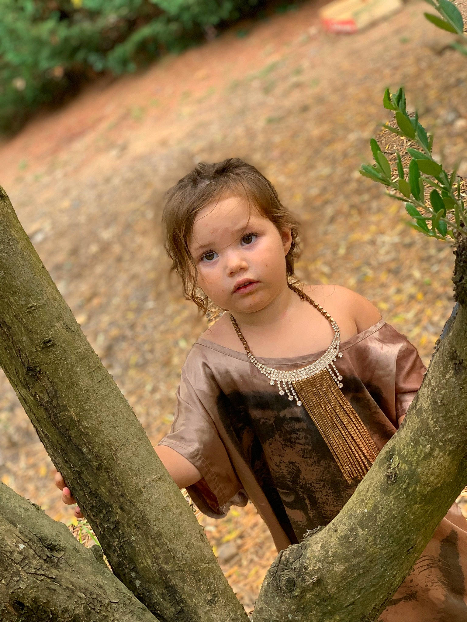 Kynai participe au concours pour gagner de l'argent avec cette photo : adaptation, branch, child, facial_expression, fawn, flash_photography, forest, fun, grass, happy, leaf, leisure, long_hair, people_in_nature, person, skin, sunlight, toddler, trunk, vegetation