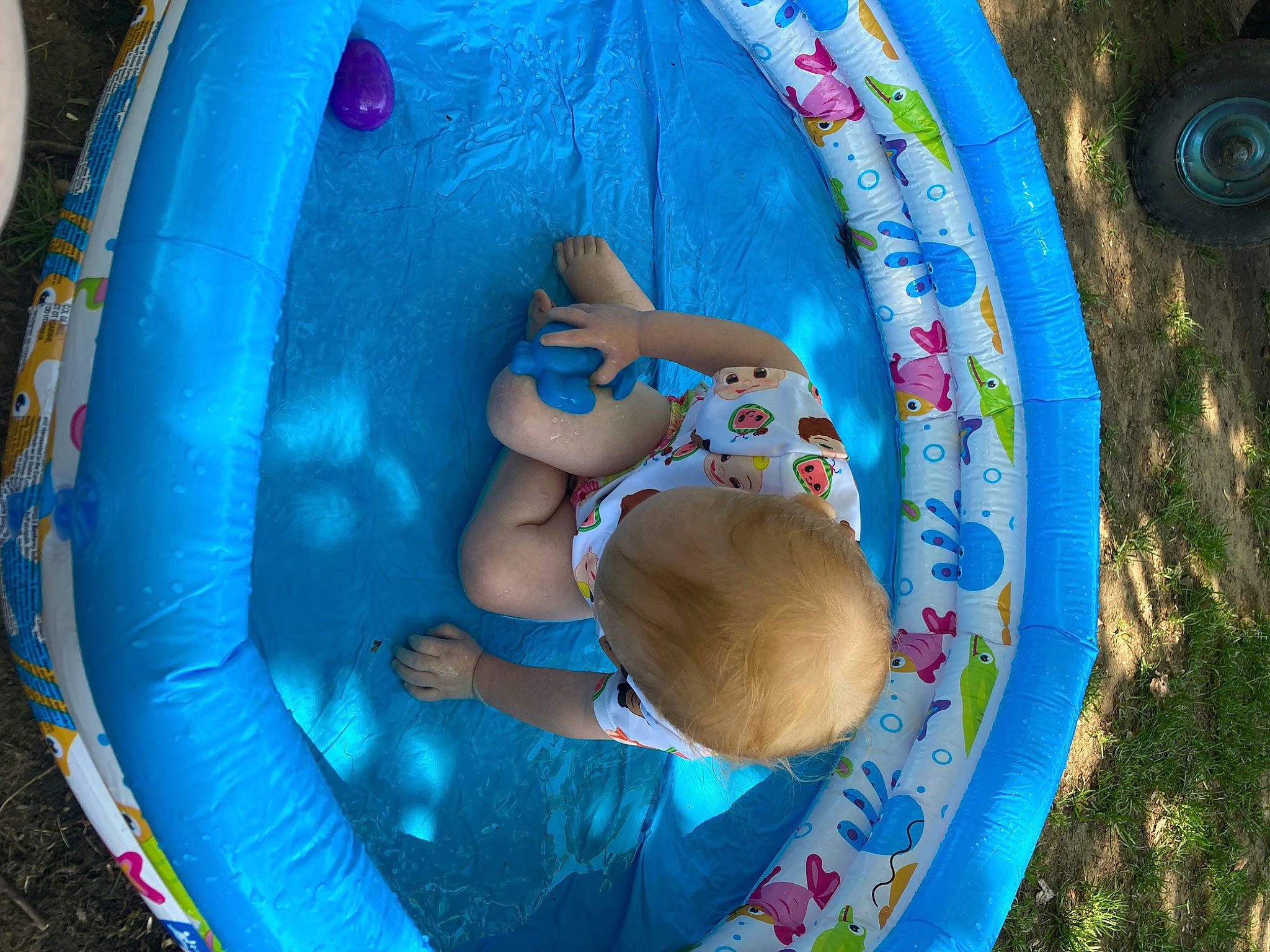 Neaveh is registered to the contest to win money with this photo: aqua, azure, baby, bathing, blue, child, circle, electric_blue, fun, games, hat, inflatable, leisure, mammal, person, play, product, recreation, toddler, vertebrate