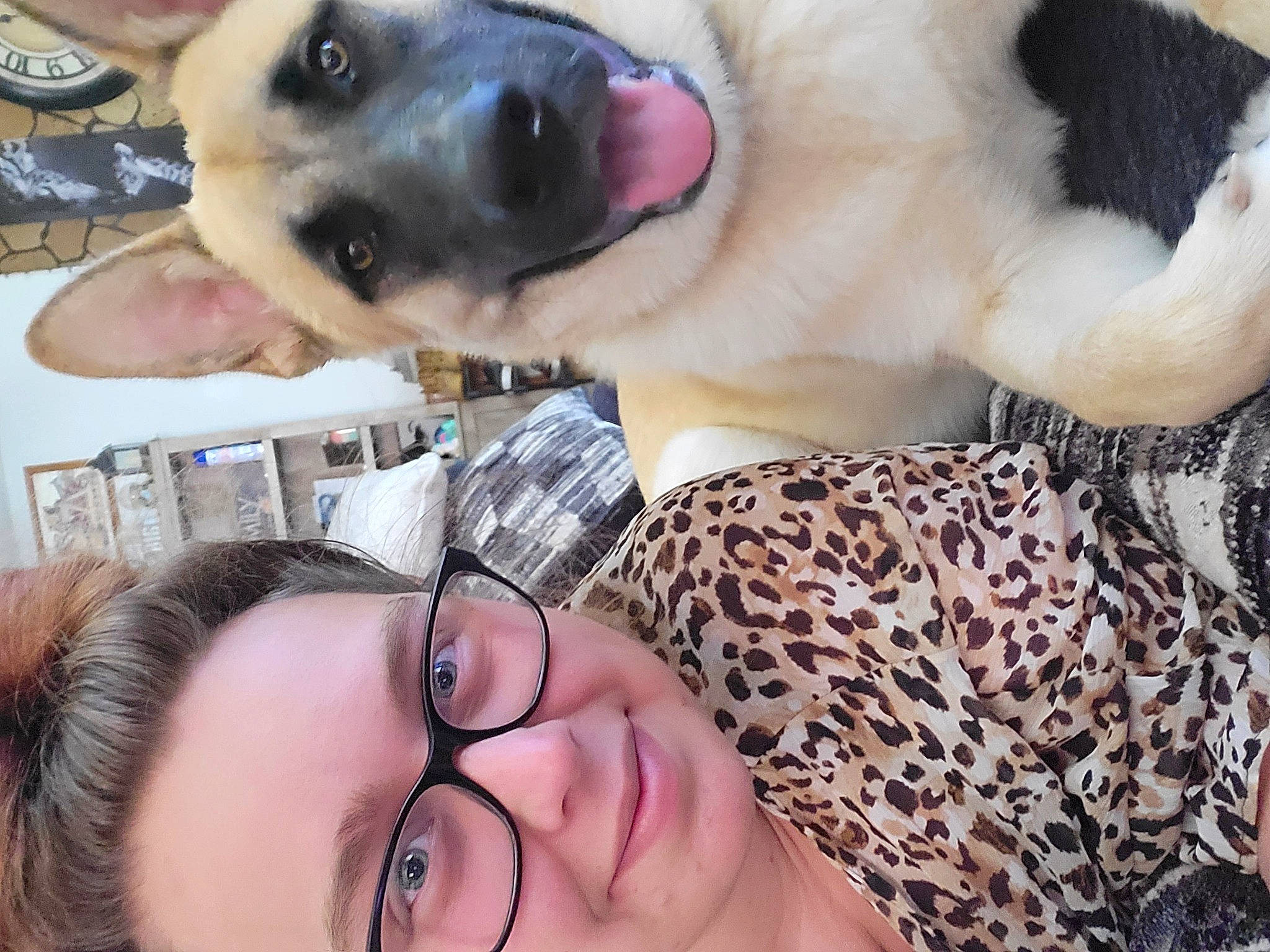 Burrow joined the competition — help win amazing prizes! carnivore, collar, companion_dog, dog, dog_breed, ear, eyelash, eyewear, fawn, gesture, glasses, happy, jaw, mammal, organ, selfie, smile, snout, sunglasses, vision_care