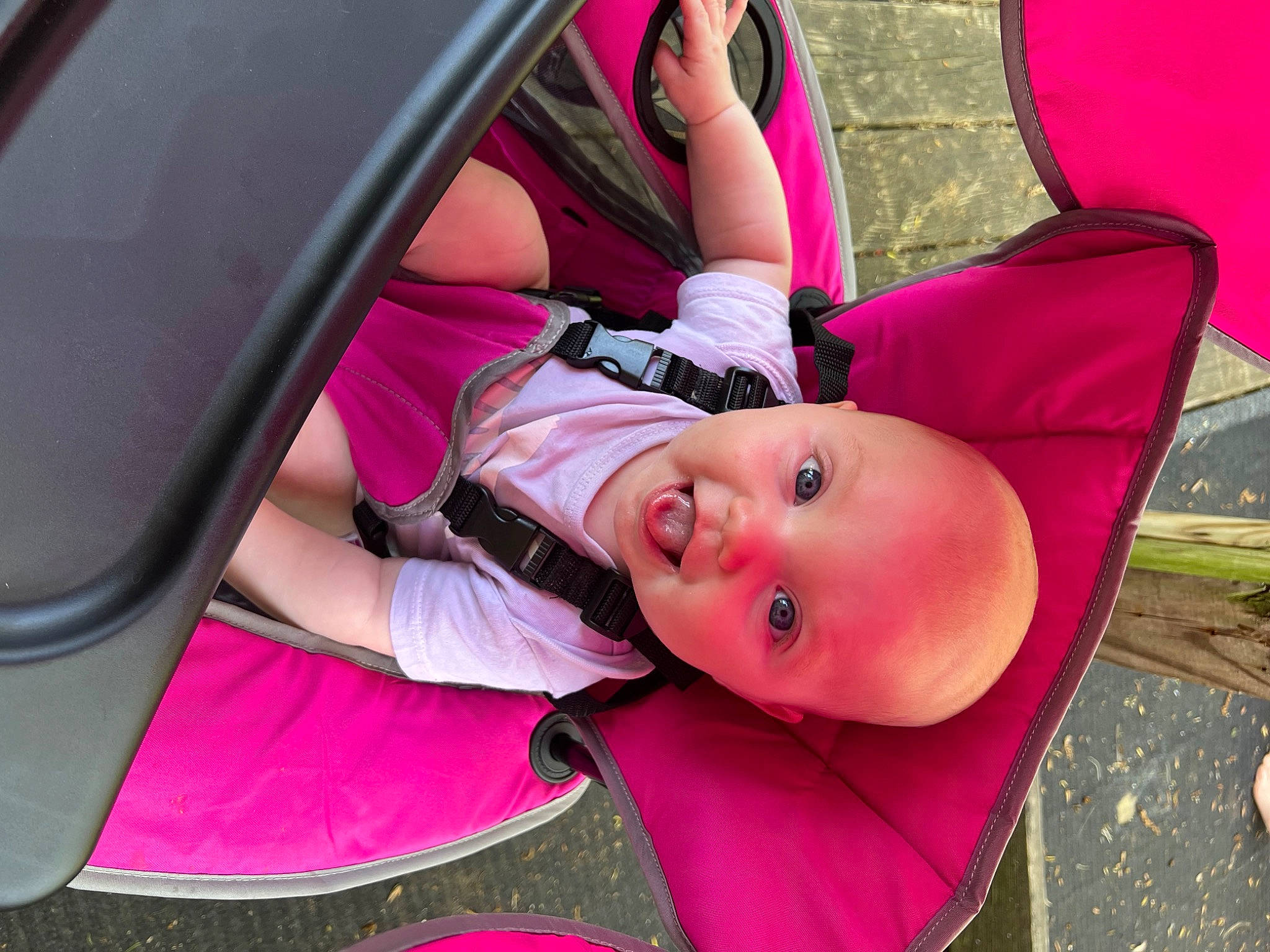 Maylee is registered to the contest to win money with this photo: auto_part, automotive_design, baby, baby_carriage, car, car_seat, child, fun, grass, hat, leisure, magenta, motor_vehicle, person, pink, plant, red, smile, toddler, tree