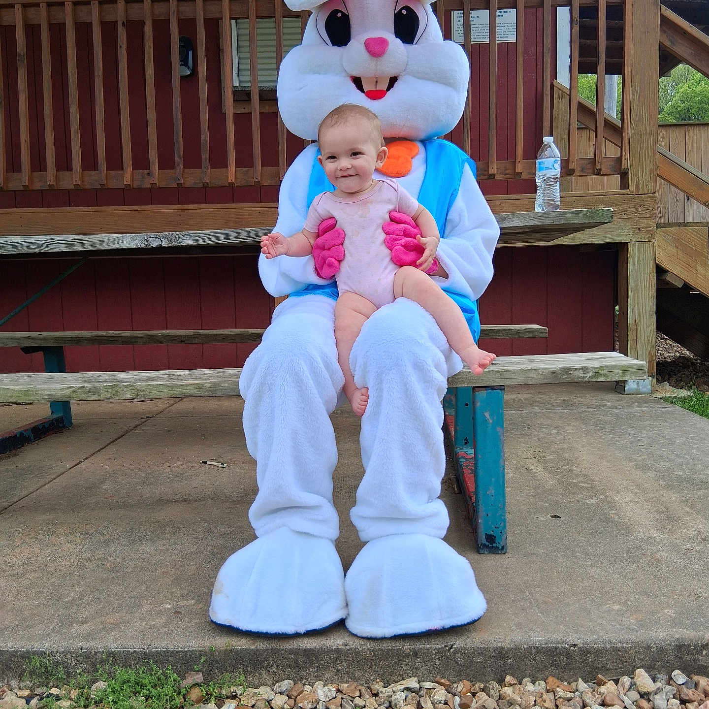 Stormie joined the competition — help win amazing prizes! baby, clothing, face, footwear, glove, grass, head, mascot, outdoors, pants, person, photography, plant, playarea, plush, portrait, shoe, soil, toy, wood