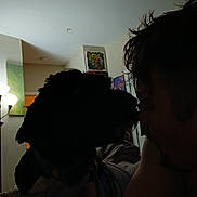 Luna is registered to the contest to win money with this photo: dog, person, indoor, low_light, silhouette, lamp, painting, wall, collar, face_profile, human, pet, companion, shadow, quiet, intimate, furniture, room, curly_hair, closeup