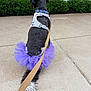 Luna joined the competition — help win amazing prizes! dog, tutu, purple, leash, sidewalk, harness, black_and_white, pet, outdoor, parked_cars, greenery, curly_tail, walking, urban, animal, canine, street, fence, tree, daytime
