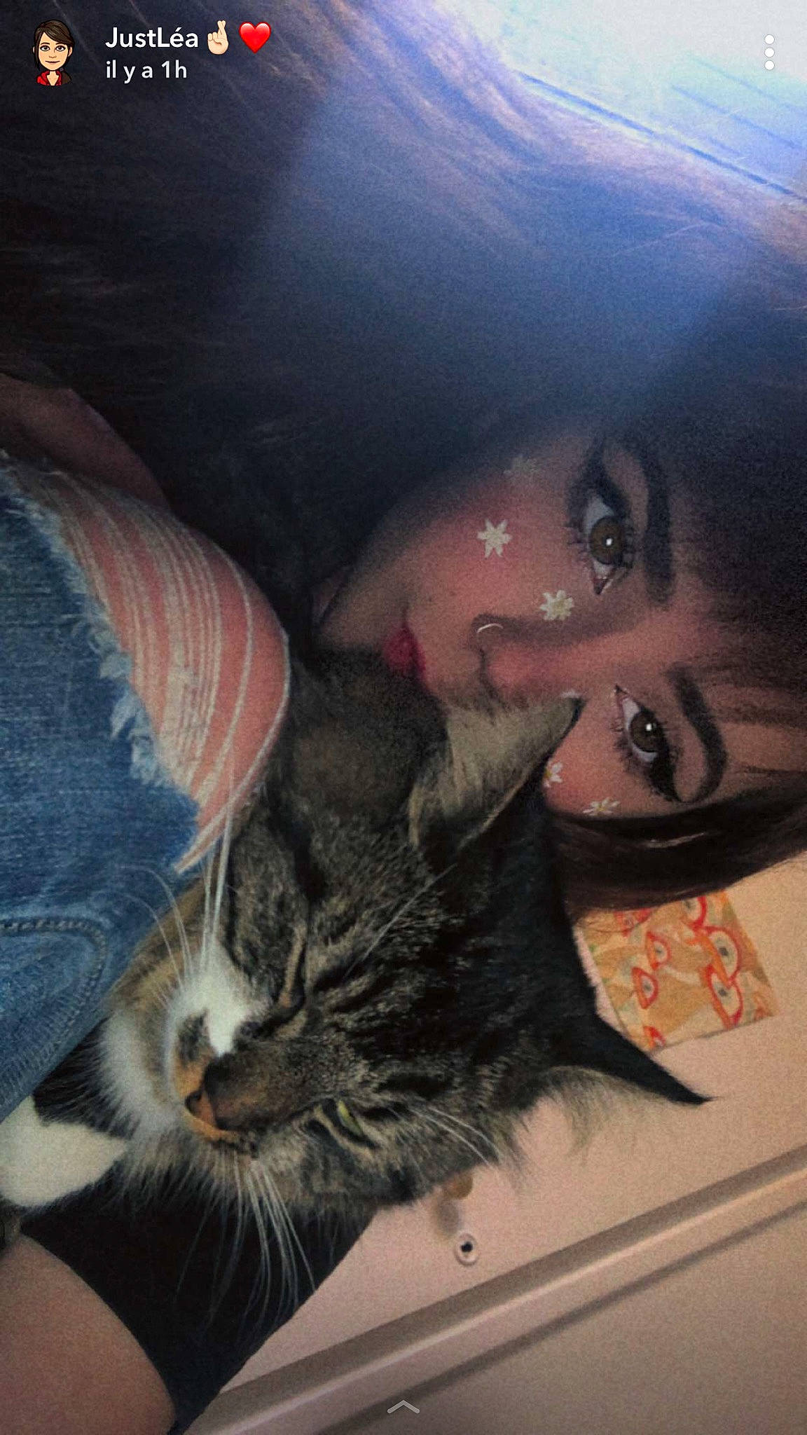 Jetta participe au concours pour gagner de l'argent avec cette photo : beard, black_hair, carnivore, cat, comfort, cool, domestic_short_haired_cat, eyelash, felidae, fur, hand, happy, iris, jaw, long_hair, nose, selfie, small_to_medium_sized_cats, tail, whiskers