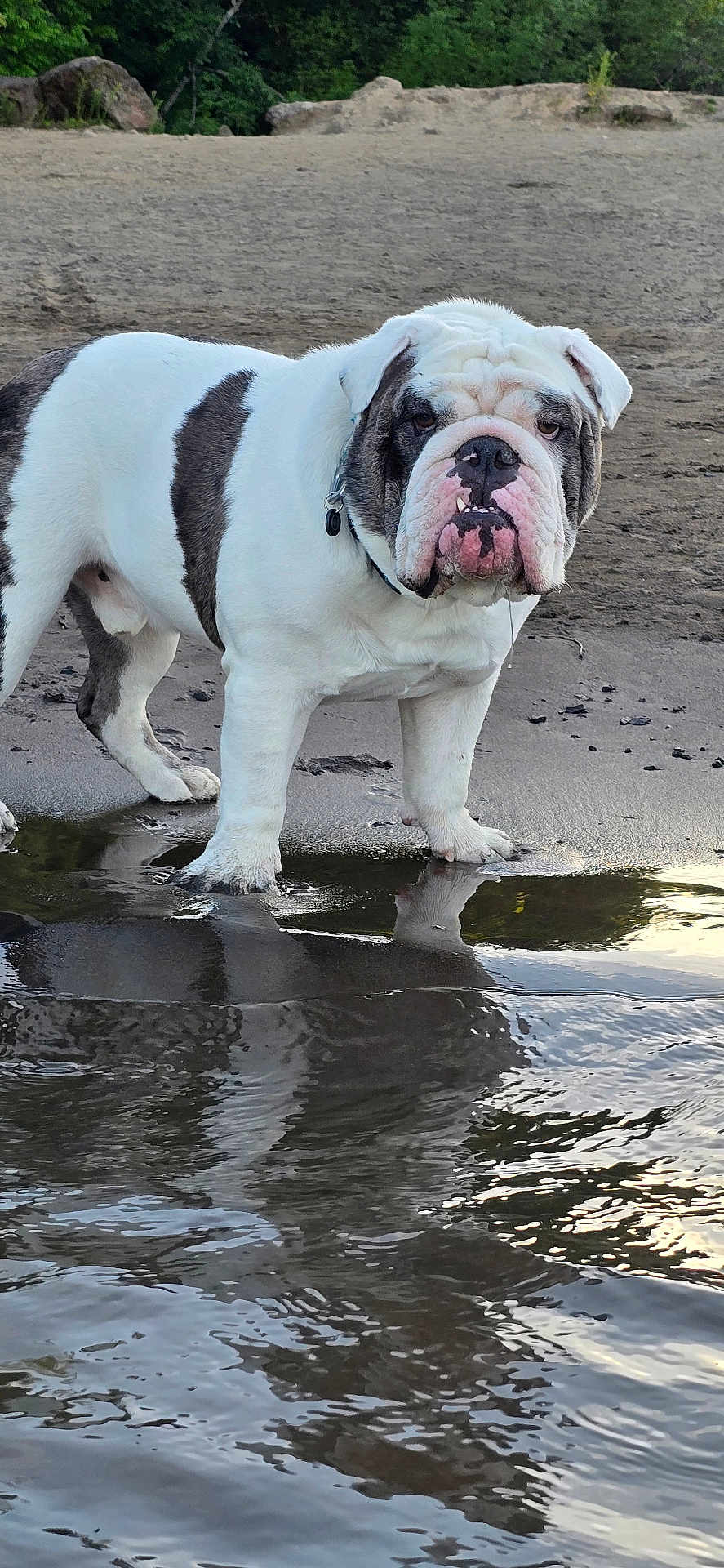 Billy