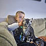 Lenny is registered to the contest to win money with this photo: animal, blanket, blurred_background, boy, cat, child, comfort, couch, cozy, cute, domestic, fur, hand, home, indoor, kitten, pet, relax, sofa, young