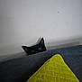animal, black_cat, cat, couch, cozy, curious, ears, eyes, feline, furniture, gray_couch, hidden, home, indoor, peeking, pets, playful, soft_texture, wall, yellow_cushion