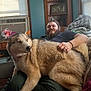dog, person, indoor, couch, relaxed, fluffy, lap, beard, window, air_conditioner, cabinet, blanket, casual, furniture, smiling, brown_fur, large_dog, human_hand, home, pet