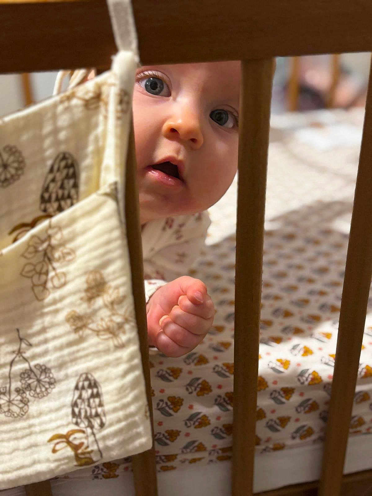 Simone participe au concours pour gagner de l'argent avec cette photo : baby, crib, wooden_bars, hand, face, eyes, blanket, pattern, sheet, curious, indoor, infant, child, soft_light, portrait, closeup, cute, toddler, clothing, nursery