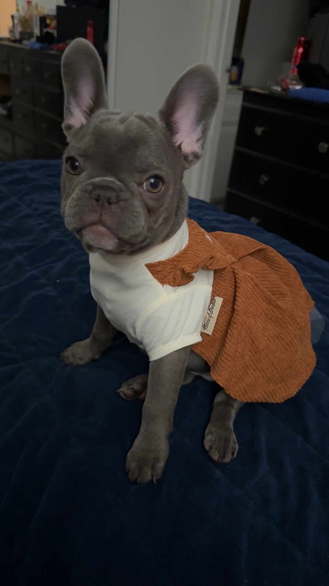 Chiquita