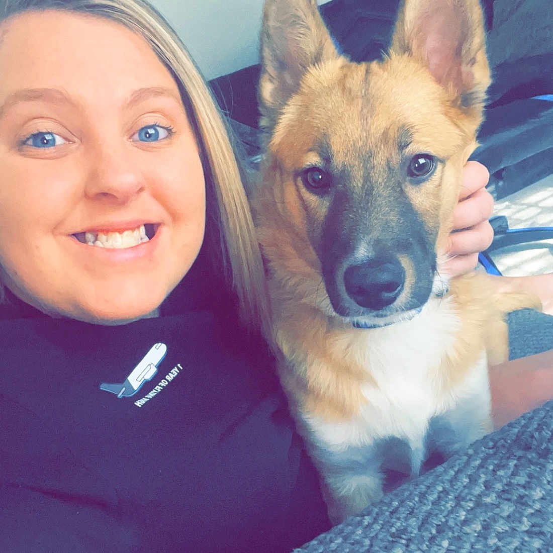 Dax is registered to the contest to win money with this photo: canidae, carnivore, companion_dog, dog, dog_breed, ear, electric_blue, fawn, fun, fur, german_shepherd_dog, happy, herding_dog, jaw, organ, smile, snout, sporting_group, t_shirt, whiskers