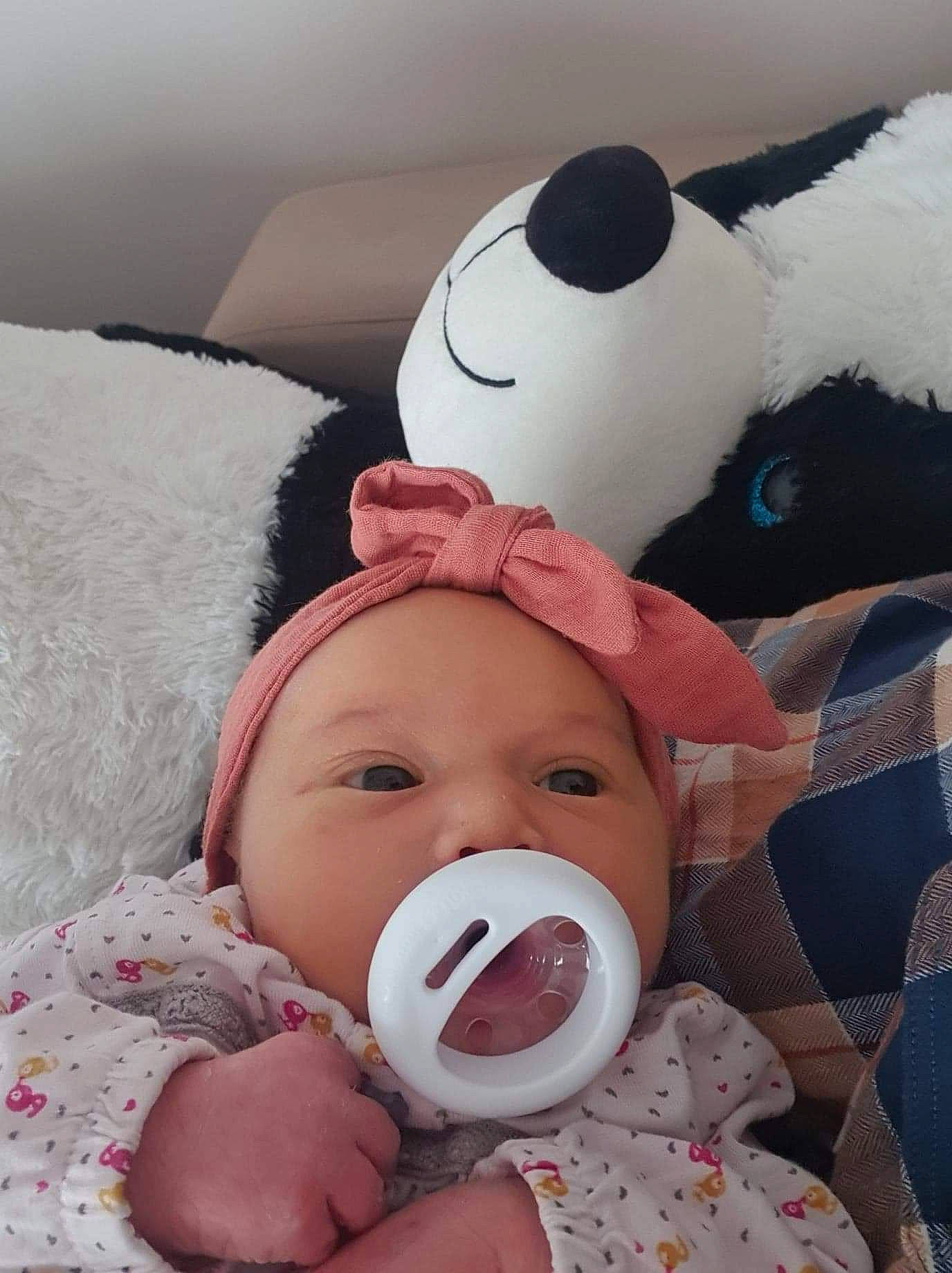 Lio a rejoint le concours — aidez-le/la à gagner de superbes lots ! baby, baby_safety, baby_sleeping, baby_toddler_clothing, beauty, cheek, child, comfort, fun, happy, headwear, linens, mouth, nose, panda, person, product, skin, stuffed_toy, textile