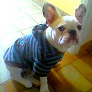 Byby participe au concours pour gagner de l'argent avec cette photo :