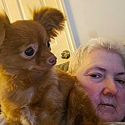 Bear joined the competition — help win amazing prizes! dog, small_dog, fluffy, brown_dog, pet, person, indoor, door, thermostat, shoulder, close_up, curious, fur, companion, home, relaxed, couch, face, short_hair, light_hair