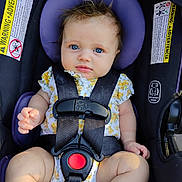Harper joined the competition — help win amazing prizes! baby, child, car_seat, blue_eyes, safety_harness, floral_outfit, infant, seat_belt, purple_cushion, cute, portrait, baby_clothing, child_safety, straps, infant_seat, seat, young_child, baby_hands, face, person