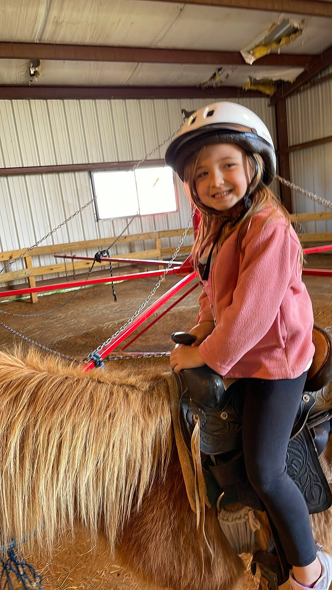 Jaylee joined the competition — help win amazing prizes! bicycle_helmet, bicycles_equipment_and_supplies, bridle, equestrian_helmet, equestrian_sport, equestrianism, headwear, helmet, horse, horse_supplies, horse_tack, joy, liver, livestock, mane, pack_animal, person, personal_protective_equipment, recreation, rein