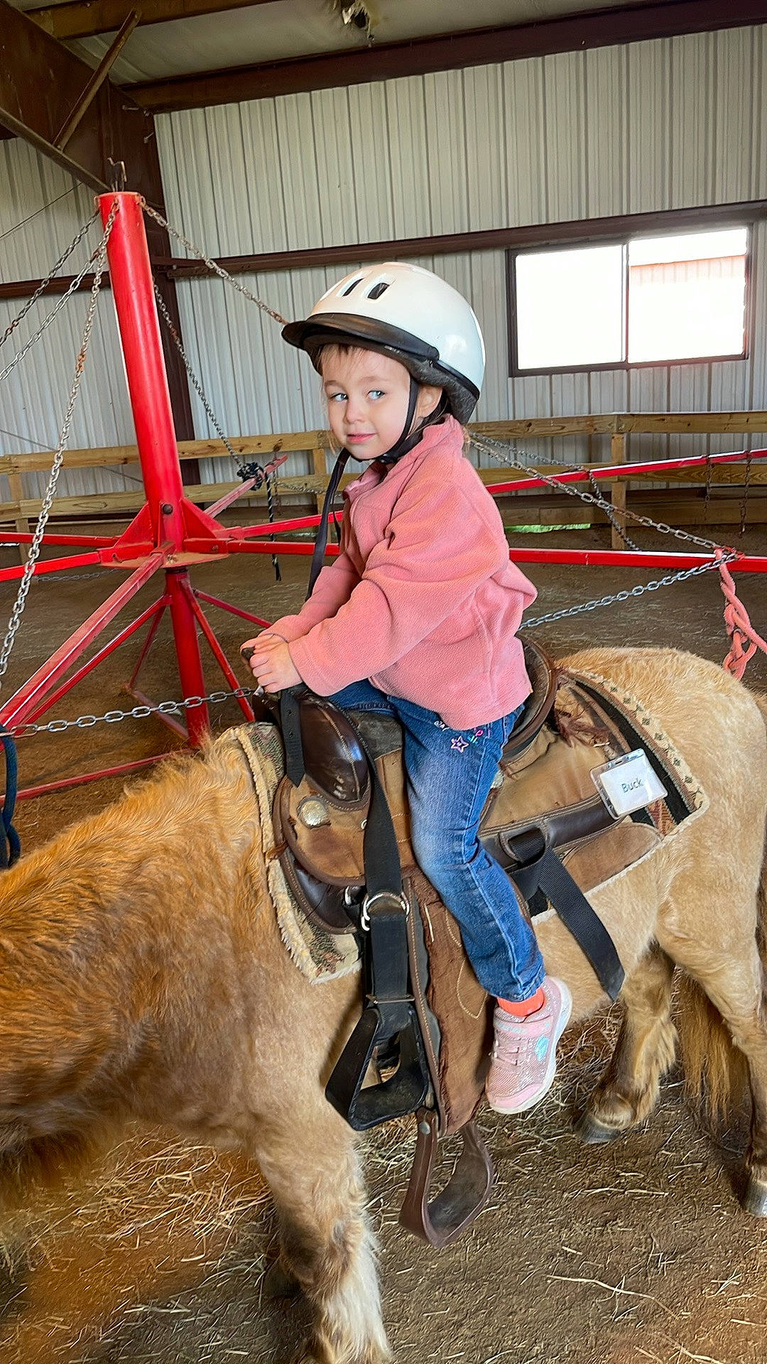 Rachel is registered to the contest to win money with this photo: animal_sports, bit, bridle, equestrian_helmet, equestrianism, fun, halter, headwear, helmet, horse, horse_supplies, horse_tack, mammal, mane, outdoor_recreation, pack_animal, person, recreation, rein, saddle