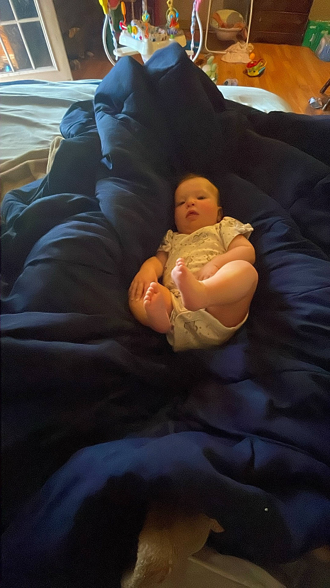 Katie joined the competition — help win amazing prizes! baby, baby_products, bean_bag, bedtime, child, comfort, couch, fun, head, human_body, human_leg, lap, linens, nap, person, room, sitting, sleep, thigh, toddler