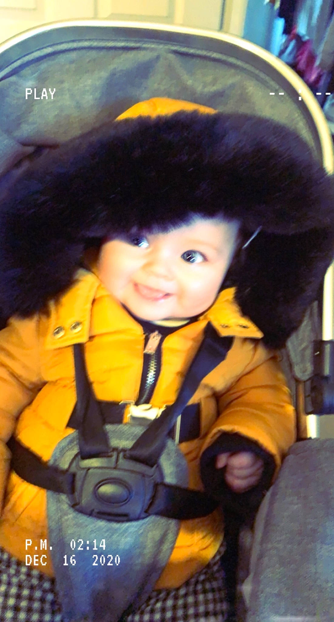 Mayah is registered to the contest to win money with this photo: baby_products, cool, costume_accessory, fur, fur_clothing, headgear, jacket, person, toddler