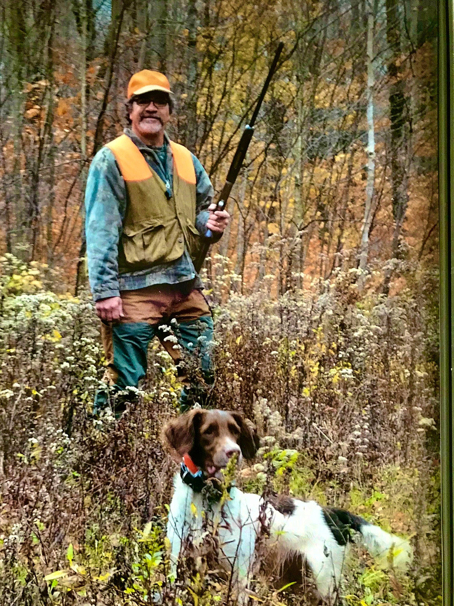 Frodo is registered to the contest to win money with this photo: art, carnivore, companion_dog, dog, dog_breed, fawn, forest, grass, gun_dog, hat, mammal, people_in_nature, plant, recreation, sporting_group, sunglasses, tree, vertebrate, wood, woodland