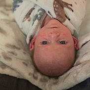 Desmond is registered to the contest to win money with this photo: baby, infant, blanket, deer_pattern, cozy, wrapped, cute, child, face, skin, eyes, soft, indoor, resting, newborn, person, head, portrait, warm, comfort