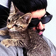 Buda joined the competition — help win amazing prizes! casual, cat, close_up, companion, face, feline, fur, gray_shirt, head, indoor, person, pet, portrait, shoulder, sunglasses, tabby_cat, texture, wall, whiskers, young_adult