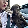 Baloo participe au concours pour gagner de l'argent avec cette photo : person, puppy, dog, selfie, portrait, car_interior, seat_belt, jacket, brown_fur, cute, sitting, lap, young_animal, window, upclose, collar, hand, hair, face, seat