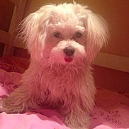 Princesse participe au concours pour gagner de l'argent avec cette photo :