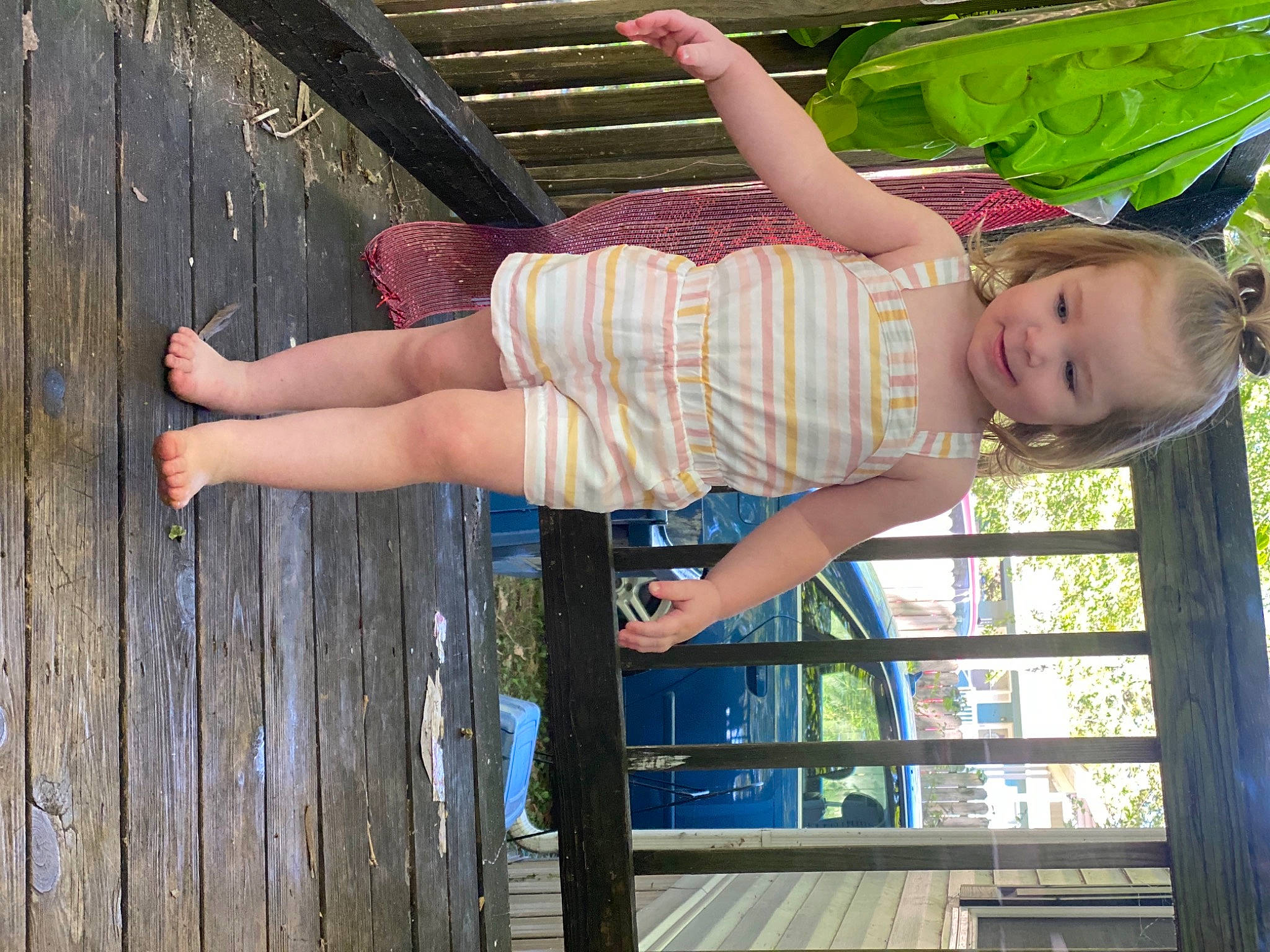 Indie is registered to the contest to win money with this photo: child, leg, person, tree