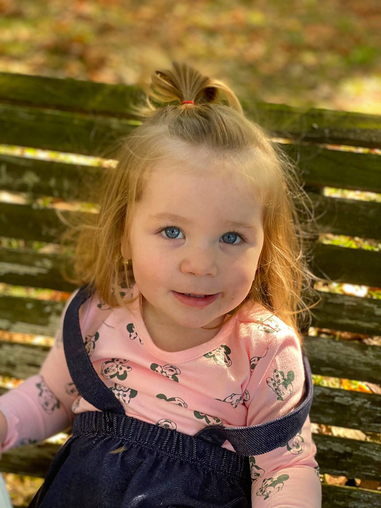 Indie is registered to the contest to win money with this photo: beauty, blond, brown_hair, child, child_model, eye, face, grass, hair, hairstyle, head, iris, joy, leaf, long_hair, person, photography, pink, skin, smile